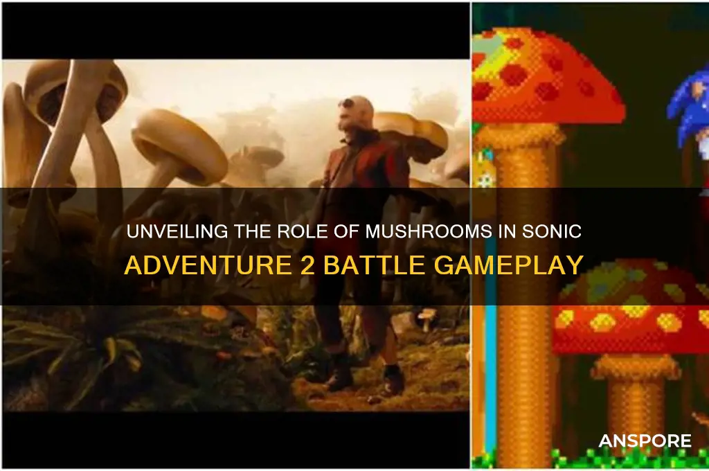 what does the mushroom do in sonic adventure 2 battle