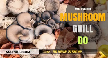 Unveiling the Mushroom Guill: Benefits, Uses, and Culinary Magic Explained