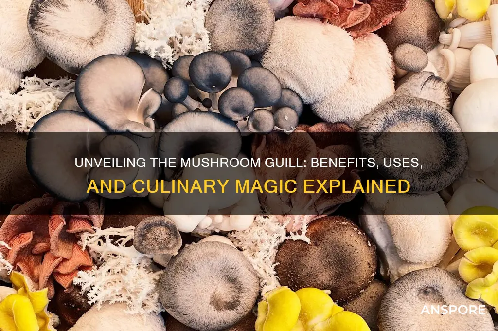 what does the mushroom guill do