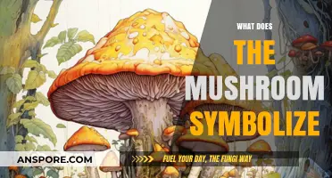 Mushroom Symbolism: Unveiling the Secrets of Fungi