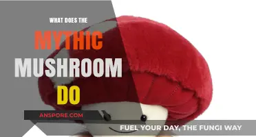 Unveiling the Mythic Mushroom's Mystical Powers and Ancient Secrets