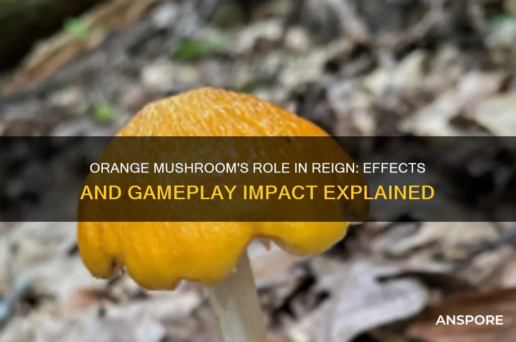 what does the orange mushroom do in reign