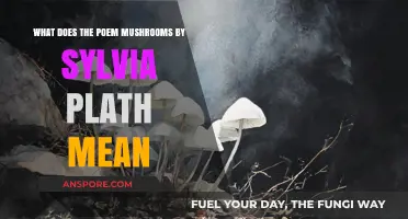 Unveiling Sylvia Plath's Mushrooms: A Deep Dive into Its Meaning
