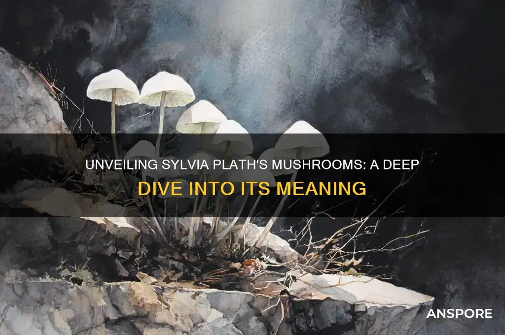 what does the poem mushrooms by sylvia plath mean