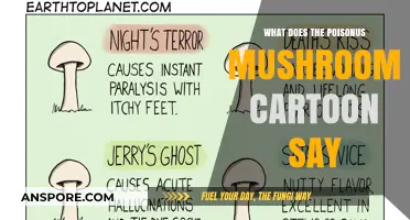 Decoding the Toxic Tale: What the Poisonous Mushroom Cartoon Reveals