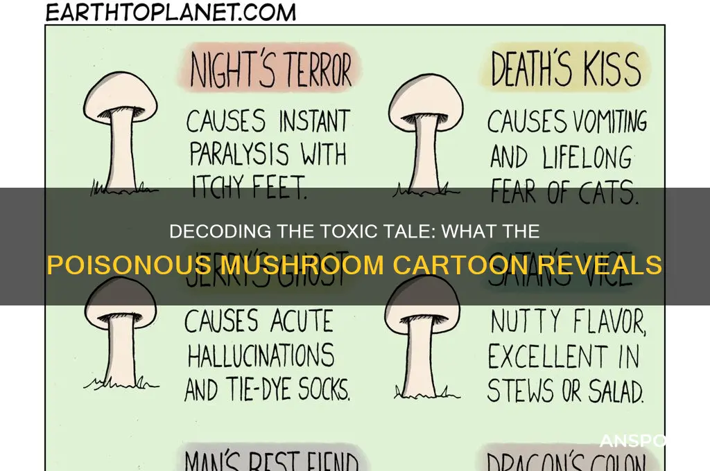 what does the poisonus mushroom cartoon say
