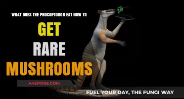 Procoptodon's Diet Secrets: Rare Mushroom Hunting Guide for Survival