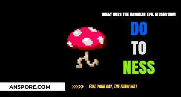 Ramblin' Evil Mushroom's Impact on Ness: Unveiling Its Mysterious Effects