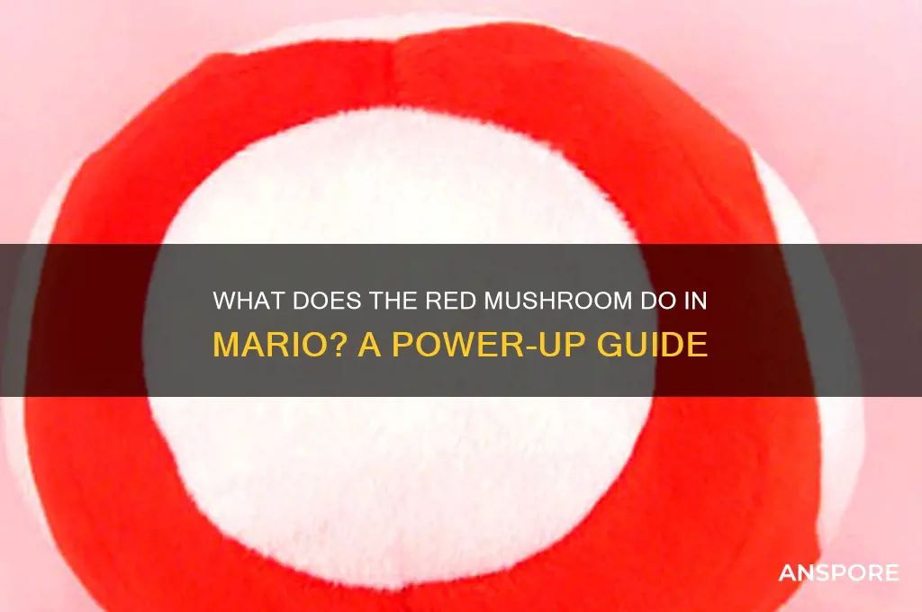 what does the red mushroom do in mario