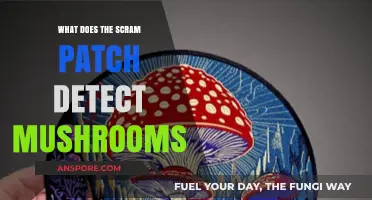 Can SCRAM Patches Detect Mushroom Consumption? Facts and Myths Explained