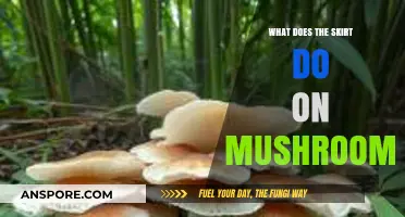 Understanding the Role of the Skirt in Mushroom Growth and Function