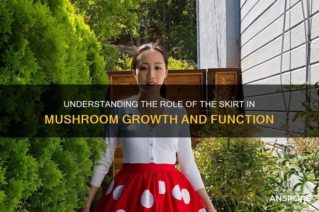 what does the skirt do on mushrooms