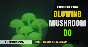 Unveiling the Mystery: What Does the Strange Glowing Mushroom Do?