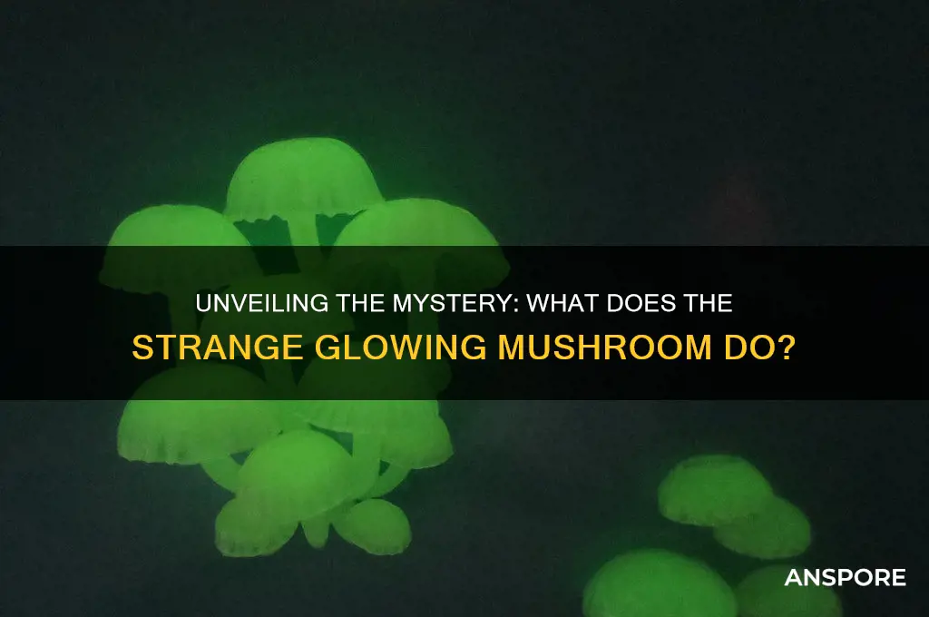 what does the strange glowing mushroom do