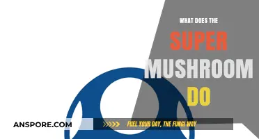 Super Mushroom Power-Up: Unlocking Abilities and Secrets in the Game