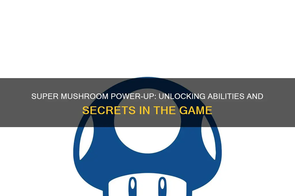 what does the super mushroom do