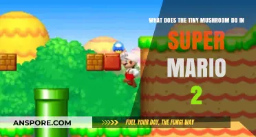 Super Mario 2's Tiny Mushroom: Power-Up or Pitfall?