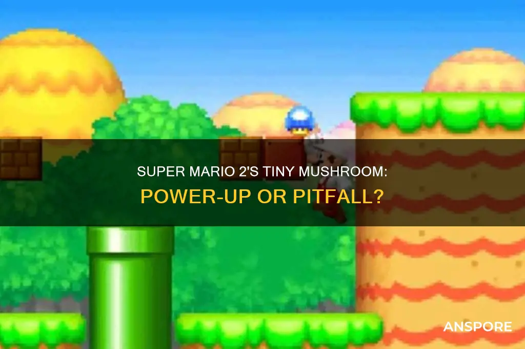 what does the tiny mushroom do in super mario 2