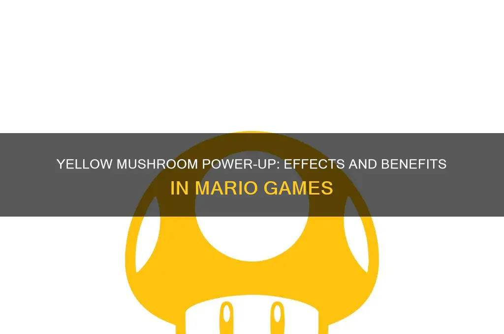 what does the yellow mushroom do in mario