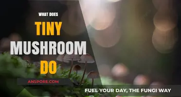 Tiny Mushrooms: Nature's Little Helpers