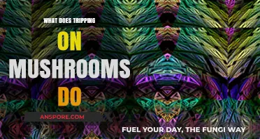 Exploring the Psychedelic Effects of Tripping on Mushrooms: What to Expect