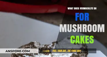 Vermiculite's Role in Mushroom Cakes: Benefits and Best Practices