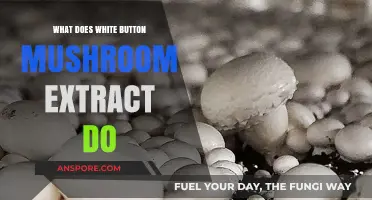 Unlocking Health Benefits: White Button Mushroom Extract's Surprising Powers
