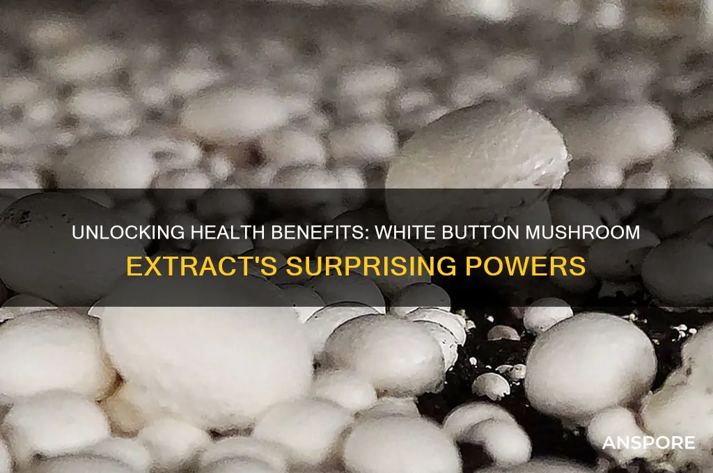 what does white button mushroom extract do
