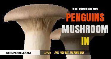 King Penguins and Mushrooms: Unraveling Their Taxonomic Domain Mystery