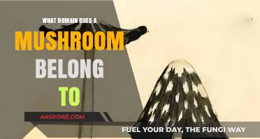 Unveiling the Domain: Where Do Mushrooms Truly Belong in Biology?