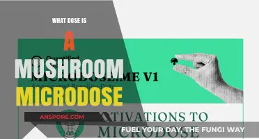 Understanding Mushroom Microdosing: Optimal Dosage for Subtle Effects