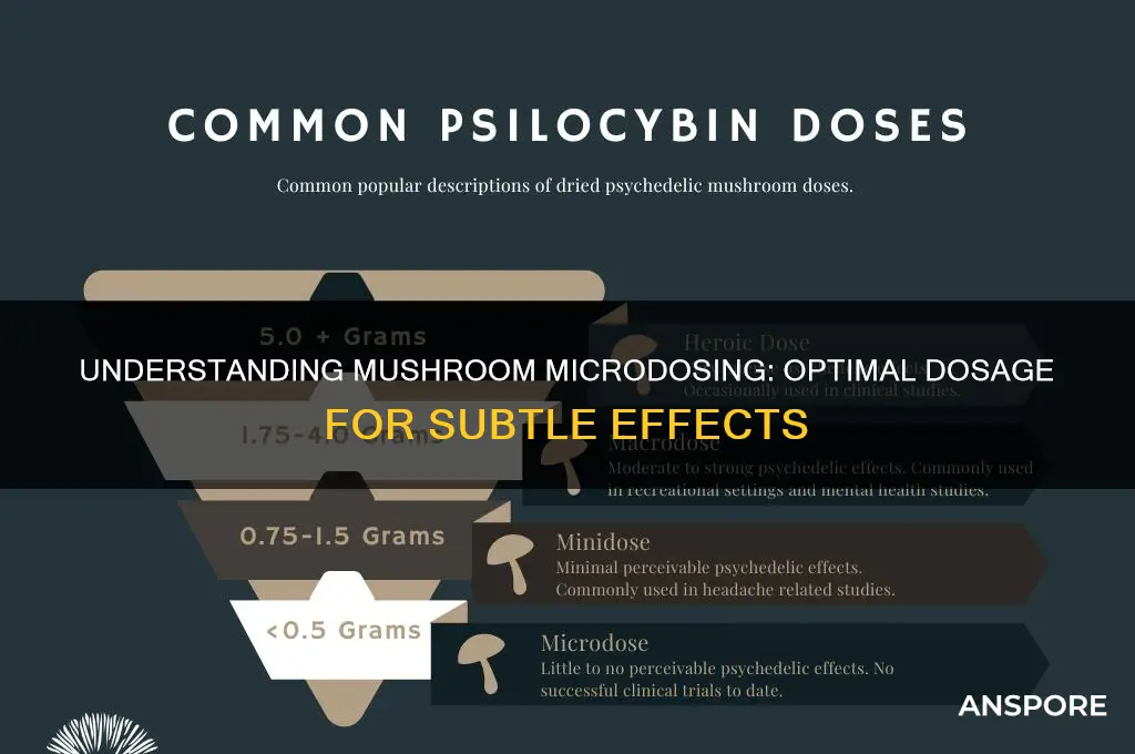 what dose is a mushroom microdose