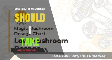 Finding Your Ideal Mushroom Dose: A Beginner's Guide to Safe Exploration