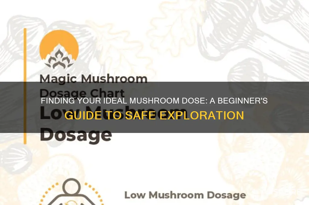 what dose of mushrooms should i take