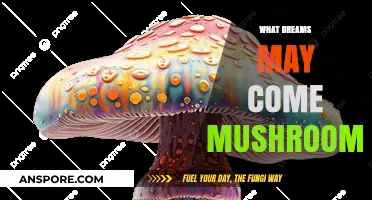 Unlocking Dreams: The Power of Magic Mushrooms