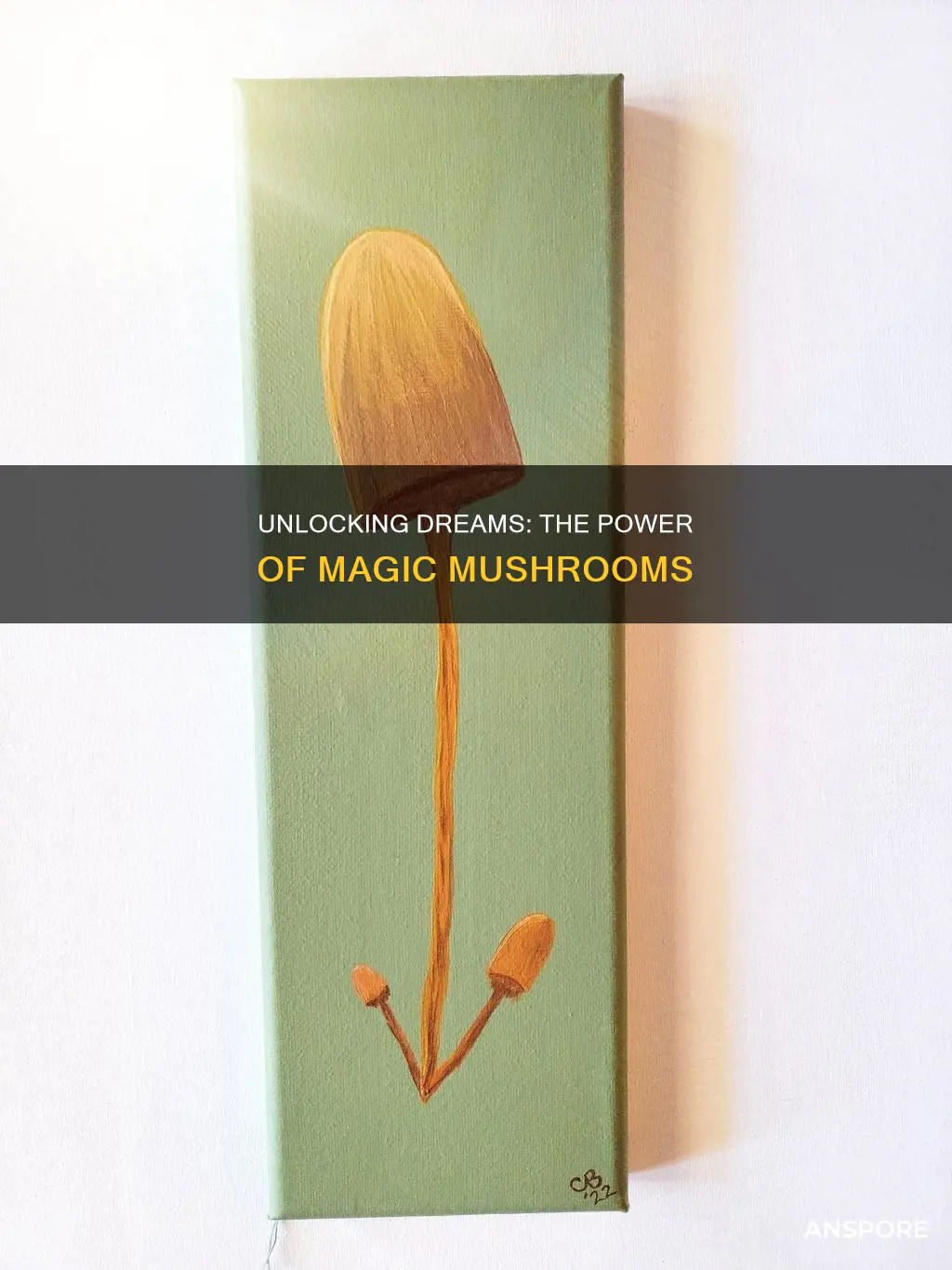 what dreams may come mushrooms