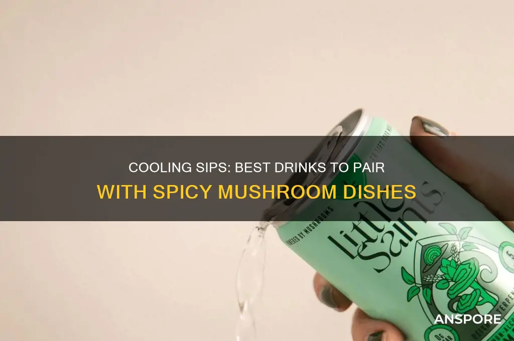 what drinks go well with spicy mushrooms