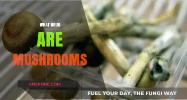 Magic Mushrooms: A Natural Psychedelic Trip