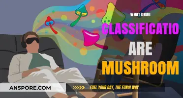 Mushrooms: A Natural Psychedelic Trip