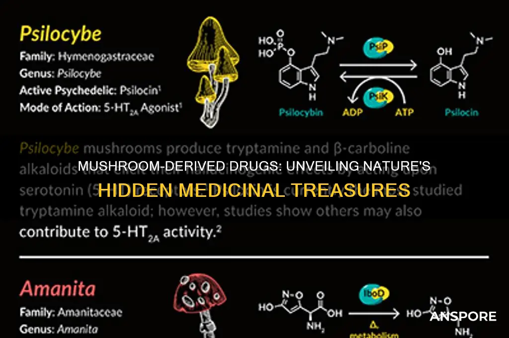 what drug comes from a mushroom