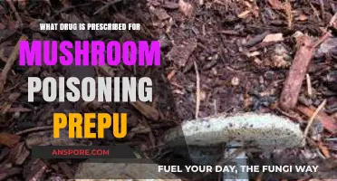 Effective Treatments for Mushroom Poisoning: Prescribed Drugs and Prepu Care