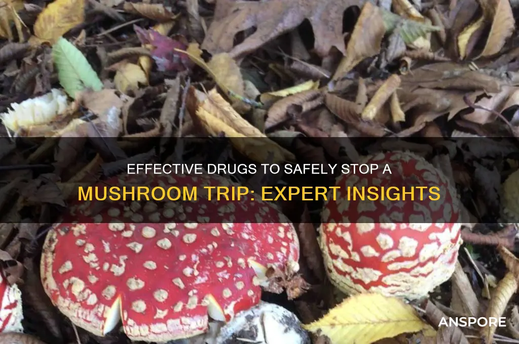 what drug kills a mushroom trip