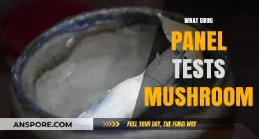 Mushroom Drug Tests: What You Need to Know
