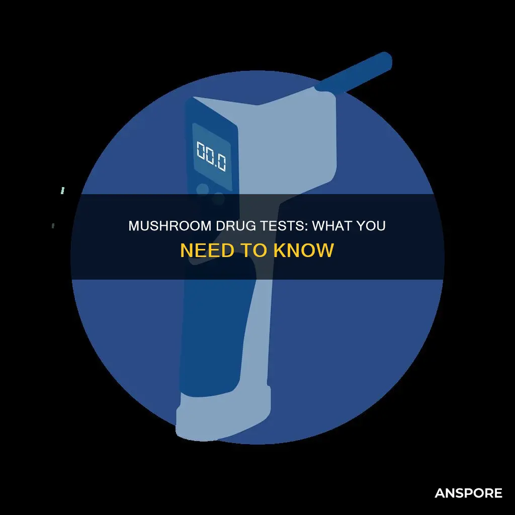 what drug panel tests mushroom