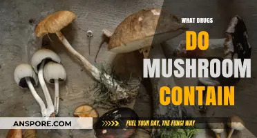 Magic Mushrooms: What's in the Trip?