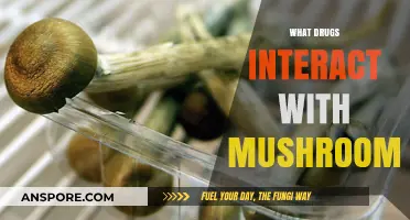 Mushroom Consumption: Drug Interactions and Side Effects