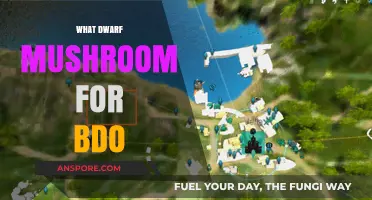 Dwarf Mushrooms in BDO: Best Farming Locations