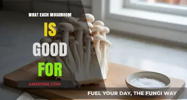 Discover the Unique Health Benefits of Different Mushrooms
