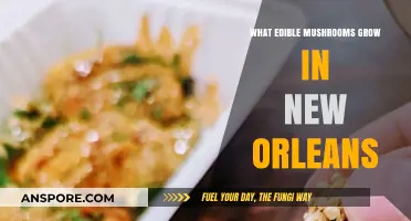 Discovering New Orleans' Edible Mushrooms: A Forager's Guide to Local Varieties