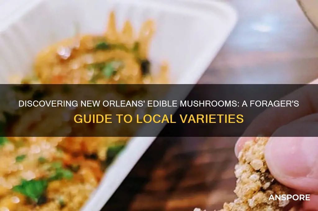 what edible mushrooms grow in new orleans